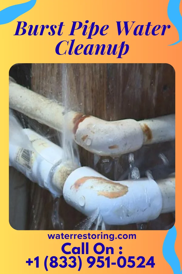 Burst Pipe Water Cleanup in Charlotte, TN