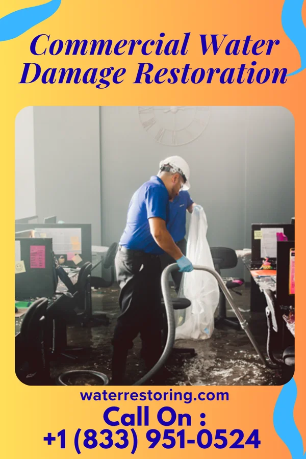 Commercial Water Damage Restoration in Charlotte, TN