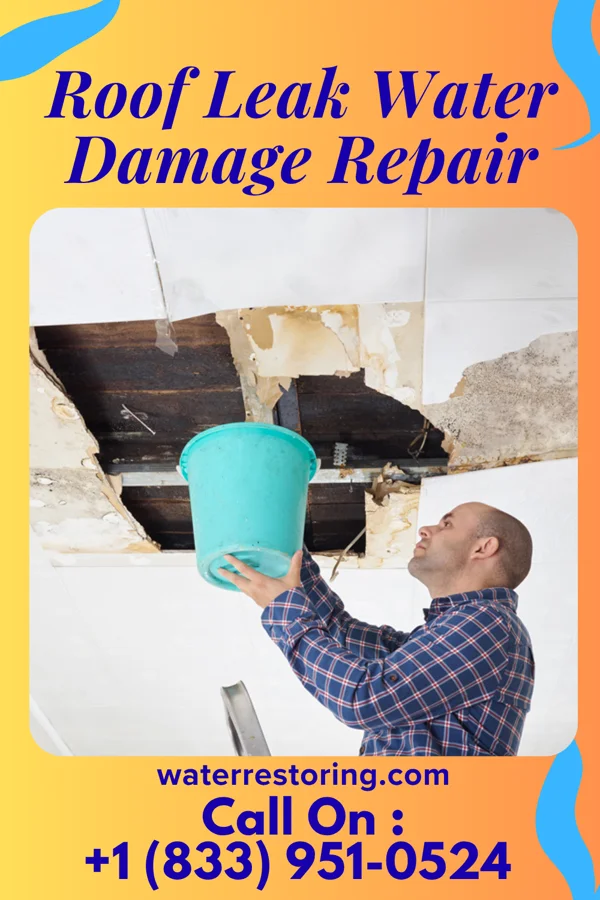 Roof Leak Water Damage Repair in Charlotte, TN
