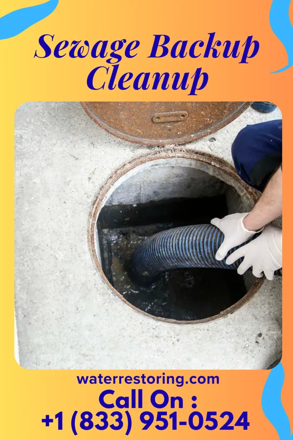 Sewage Backup Cleanup in Charlotte, TN