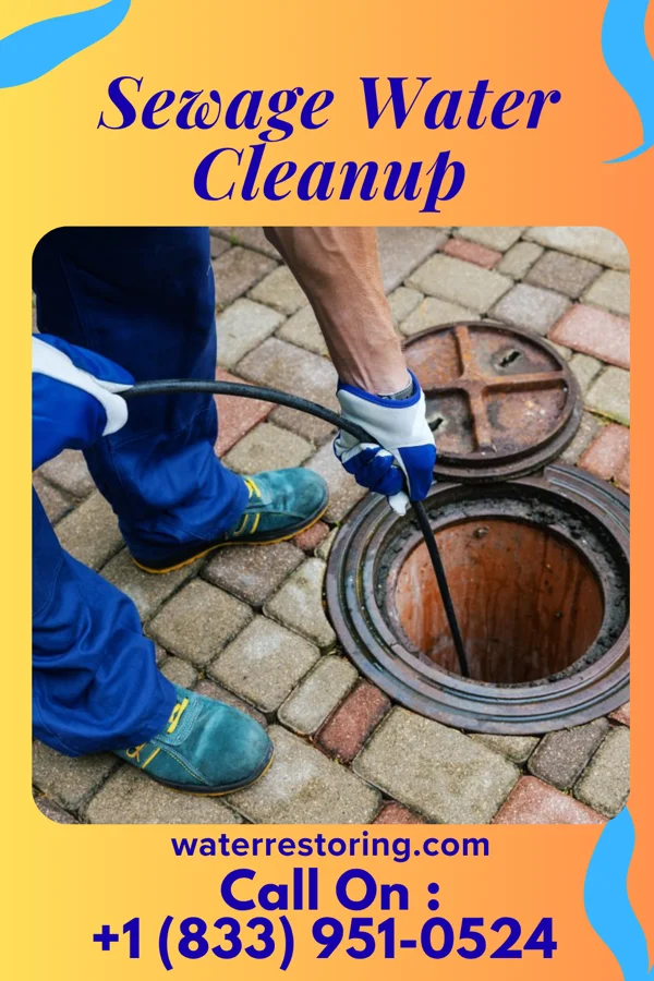 Sewage Water Cleanup in Charlotte, TN